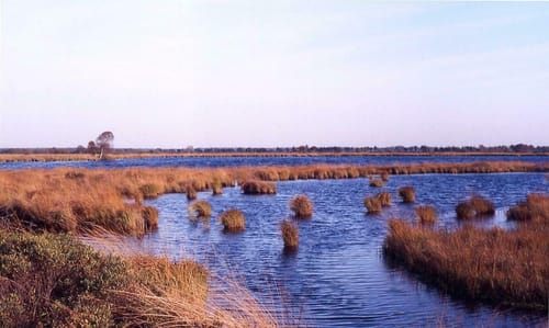 Bohlenweg am Ewigen Meer