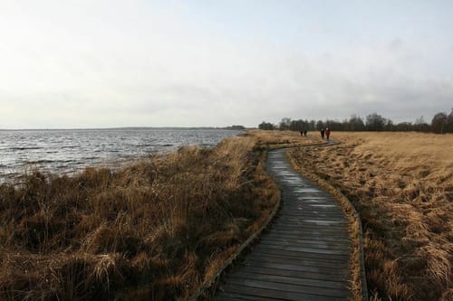 Bohlenweg am Ewigen Meer