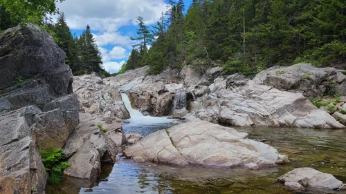 Gran río de salmones en el parque nacional fundy de Nueva