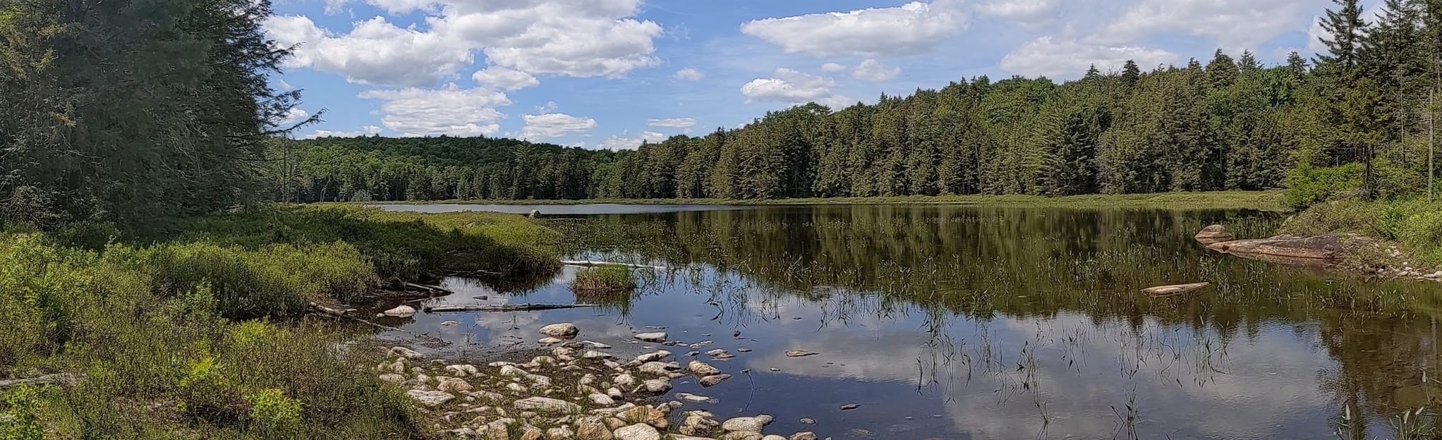 Broomstick Lake Trail 114 foto's New York AllTrails