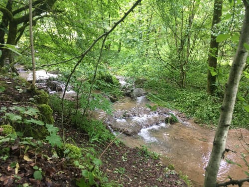 Gräfenberg - Großenohe -  Eggloffstein - Hohenschwärz