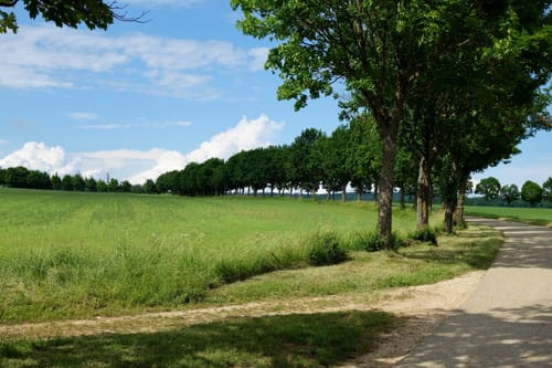 Kapellenweg in Treuchtlingen