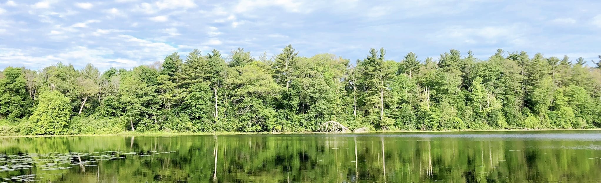 Pinehurst Lake Loop 27 Reviews, Map Ontario, Canada AllTrails