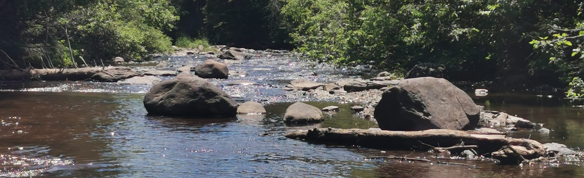 McIntyre Riverside Trail 48 Reviews, Map Ontario, Canada AllTrails