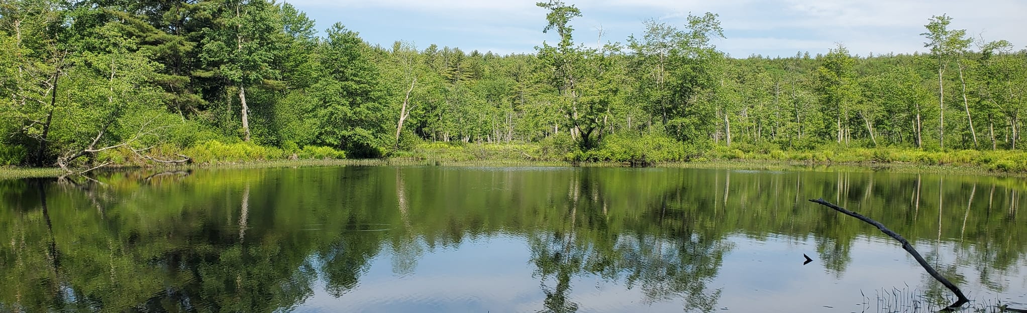 Tully Trail 114 Reviews, Map Massachusetts AllTrails