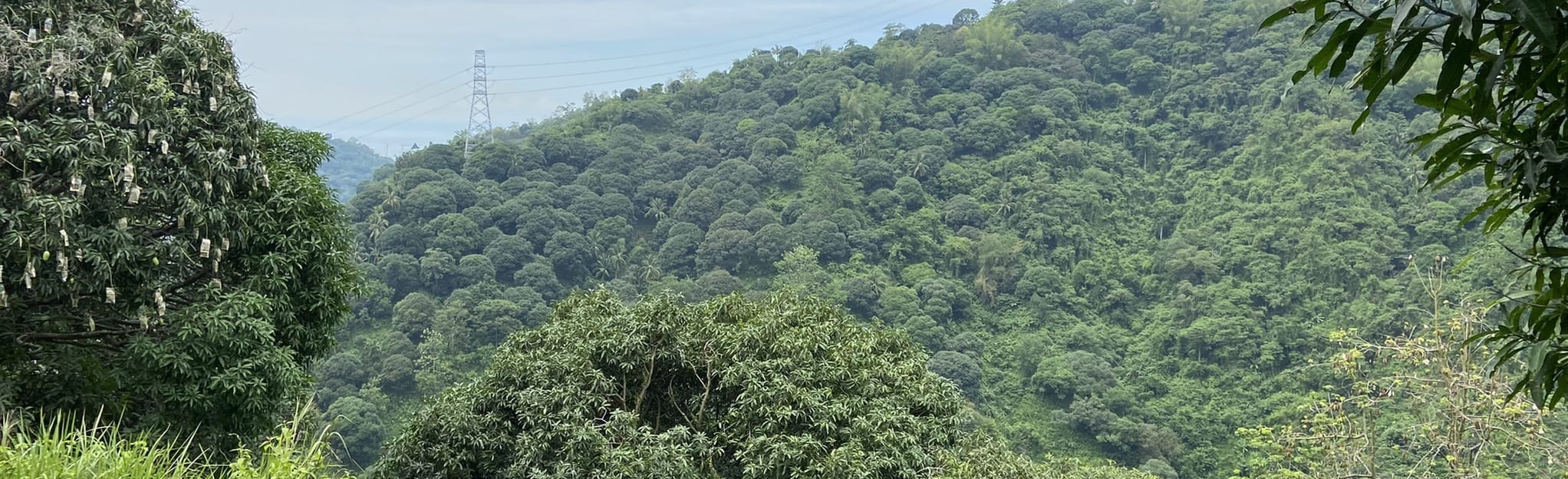 Bocaue Peak, Cebu, Philippines - 12 Reviews, Map | AllTrails