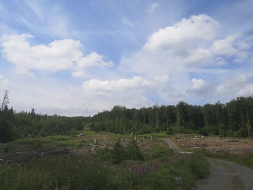 Rund um Überdorf