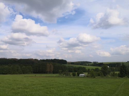 Rund um Überdorf