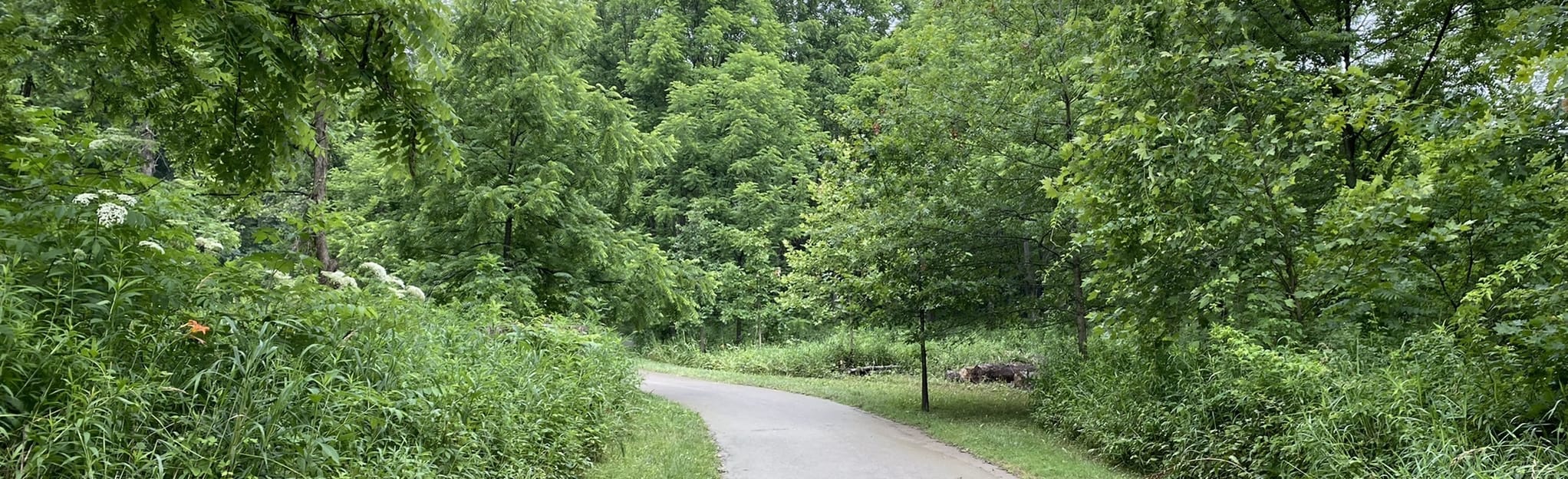 Salt Creek Trail, Indiana 139 Reviews, Map AllTrails