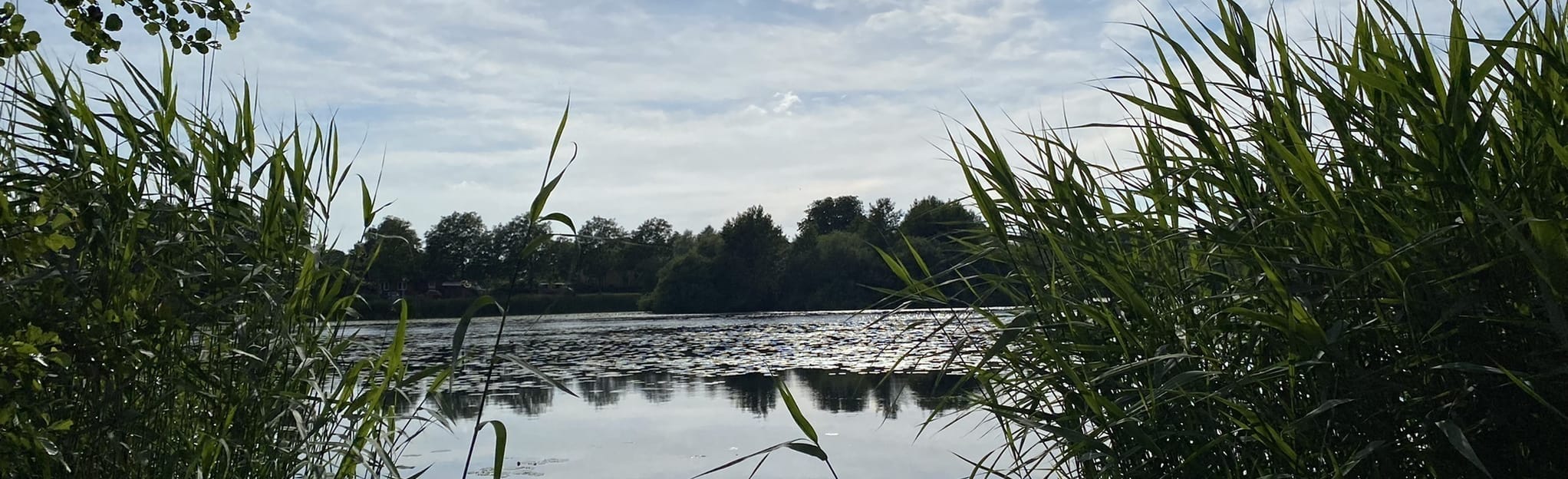 Præstevang Skov, Teglgårdsøen, Sortedam Og Brededam | Map, Guide ...