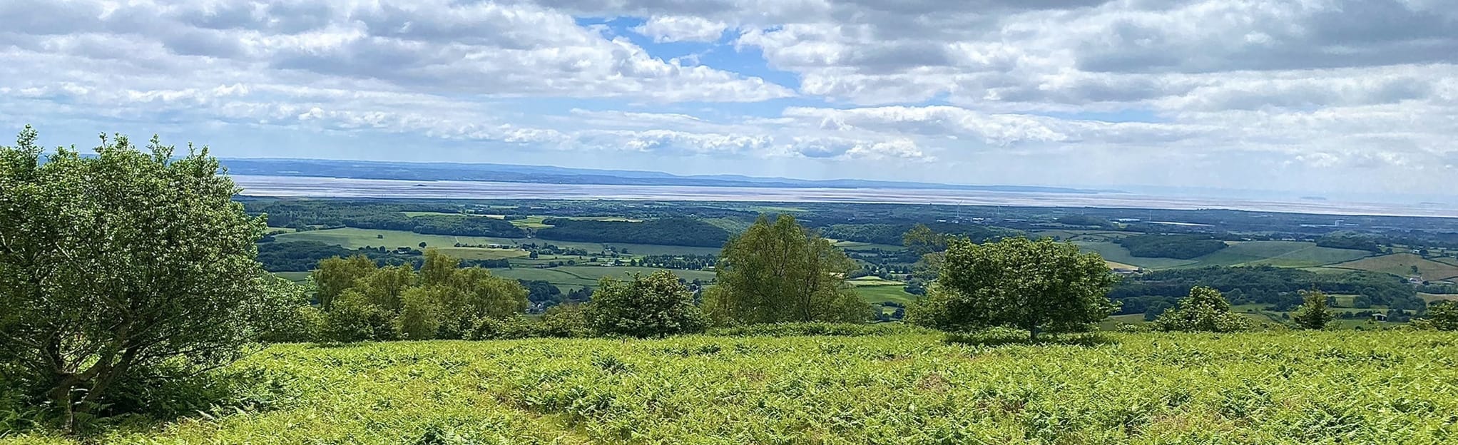 Gray Hill and Wentwood, Monmouthshire, Wales 93 Reviews, Map AllTrails