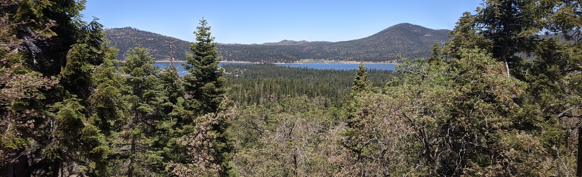 Pine Knot Trail to Grand View Point, California 4,159 Reviews, Map