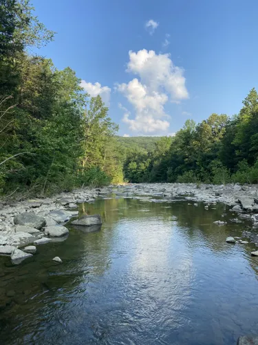 10 Best Hikes and Trails in Devil's Den State Park | AllTrails