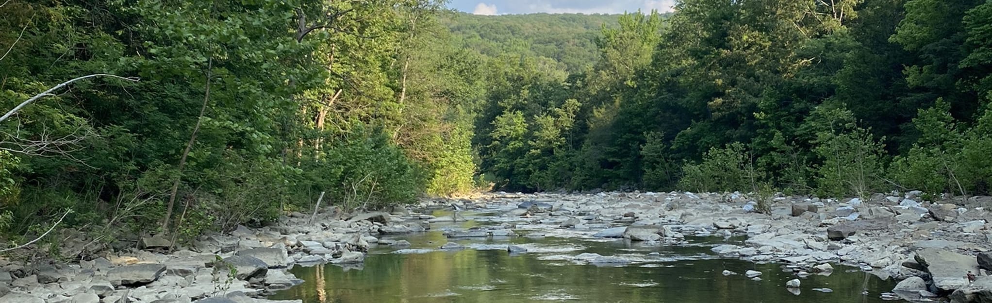 Lee Creek Trail 99 foto's Arkansas AllTrails