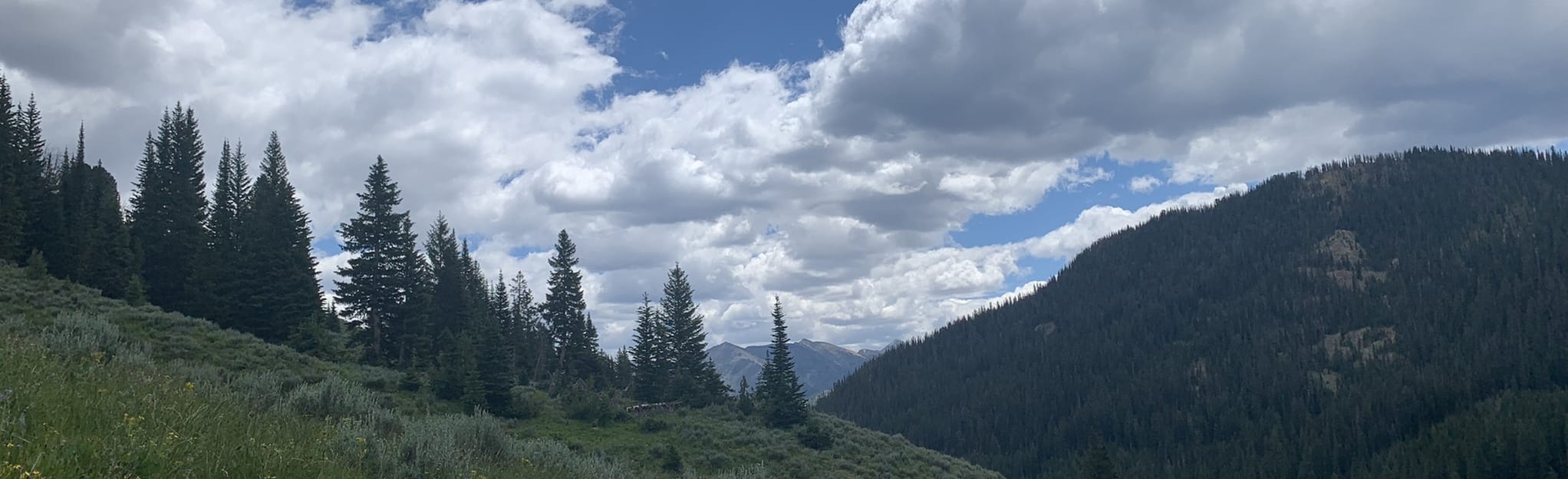 Trail Creek Trail 9 Fotos Idaho AllTrails