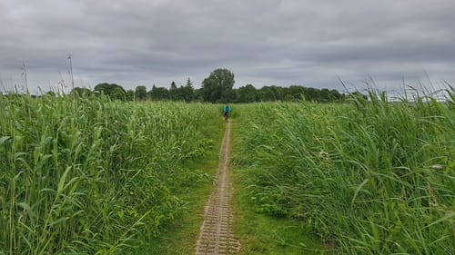 Brodersby - Burg - Geel
