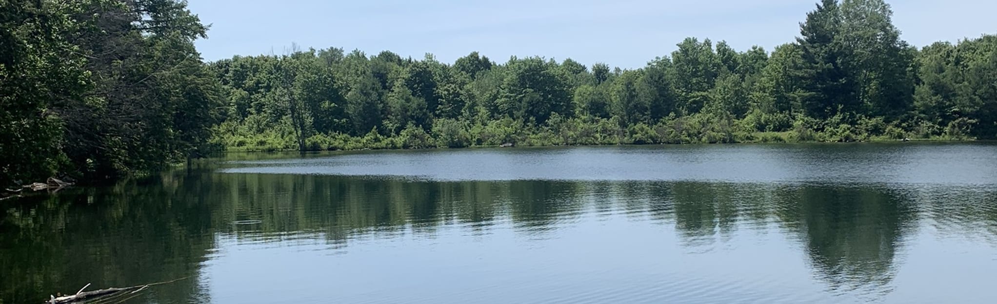 Crystal Lake Loop 142 Reviews, Map New York AllTrails