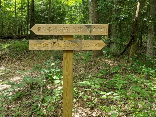 Best Hikes and Trails in Rollins Fork AllTrails