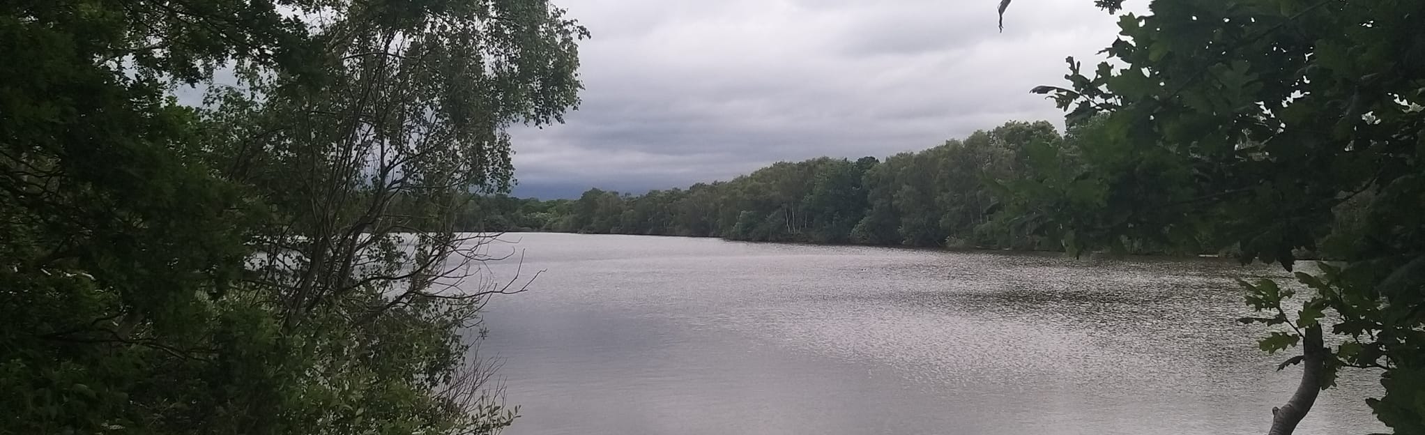 Allostock and Sandy Lane, Cheshire, England 14 Reviews, Map AllTrails