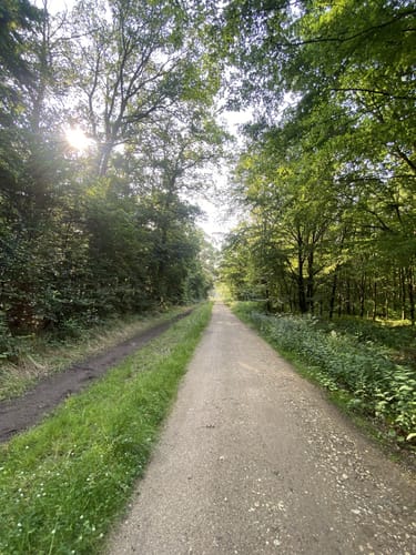 Vom Kottengrover Maar zur Kiesgrube
