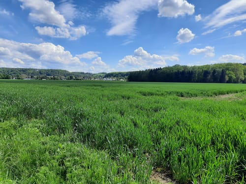 Rund um Essen-Frohnhausen -  Mülheim - Kettwig
