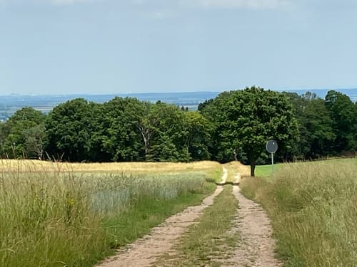 Burg Zievel