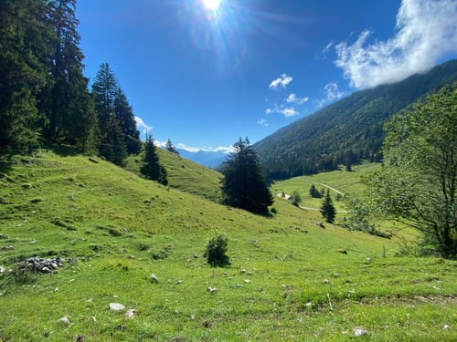 Hainbach  - Sonnen-Alm - Hofbauernalm