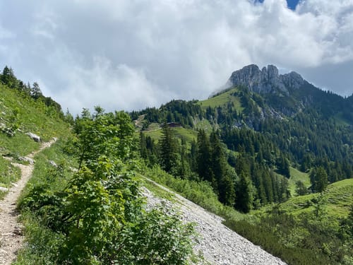 Hainbach  - Sonnen-Alm - Hofbauernalm