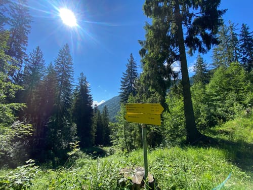 Hainbach  - Sonnen-Alm - Hofbauernalm