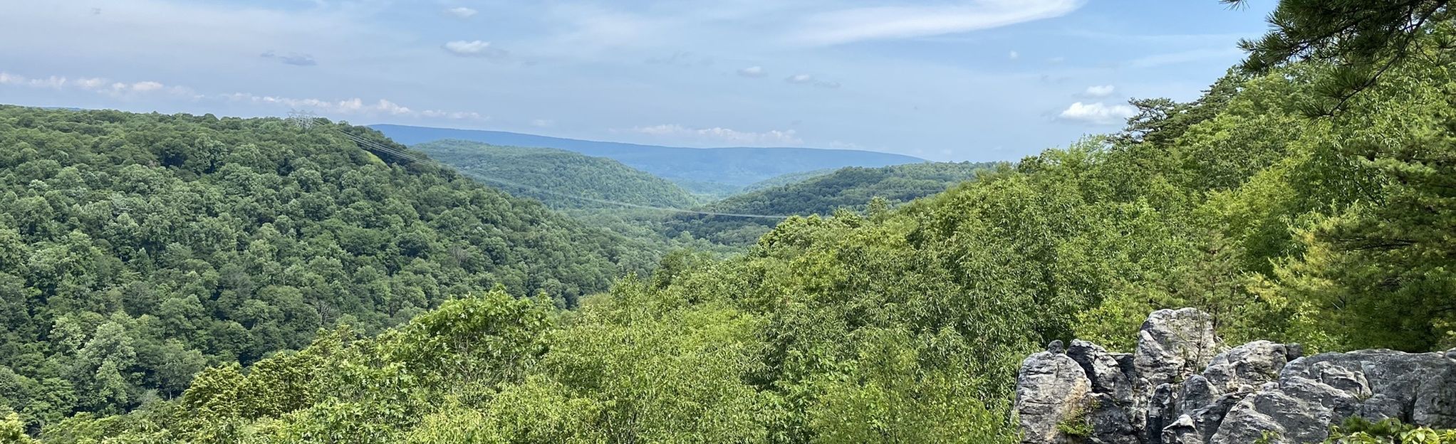 Cliffs Trail: 156 Reviews, Map - Pennsylvania | AllTrails