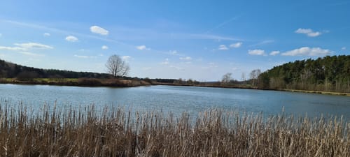 Rund um den Ausee