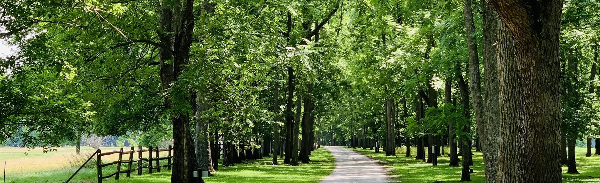 Blennerhassett Island: 14 Reviews, Map - West Virginia | AllTrails