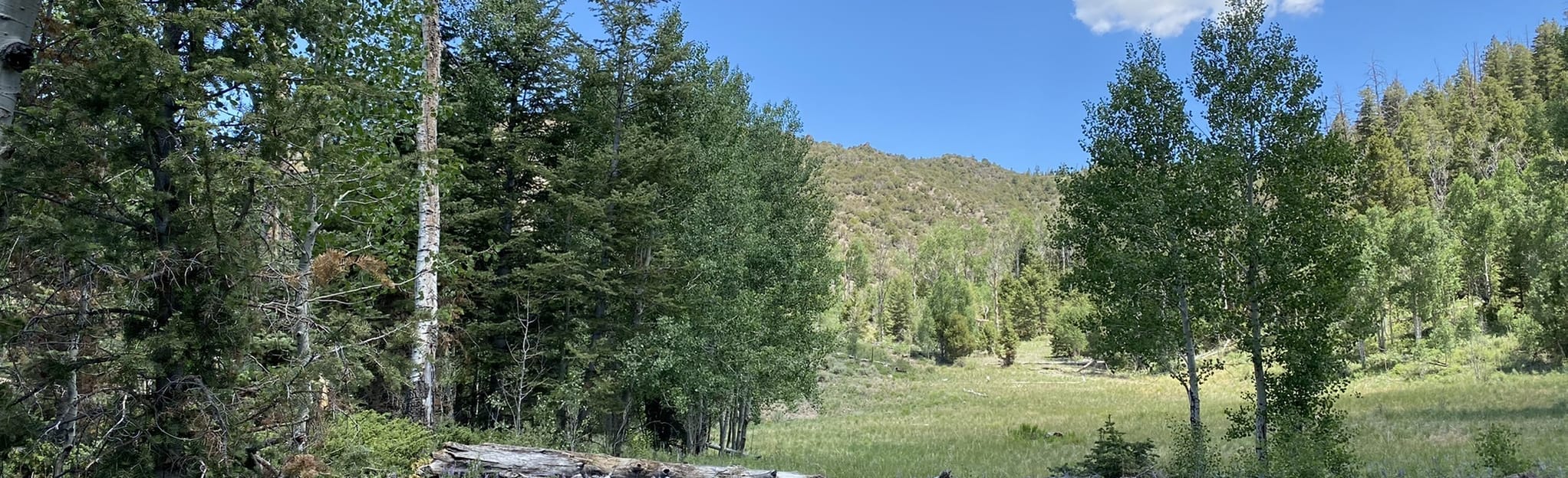 Onion Creek Trail, Utah 5 Reviews, Map AllTrails