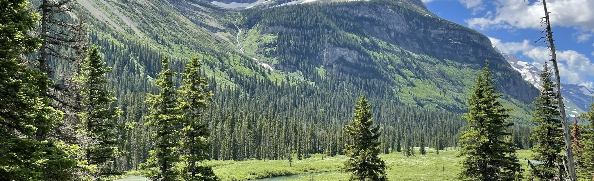 Gunsight Pass Trail 154 Reviews, Map Montana AllTrails