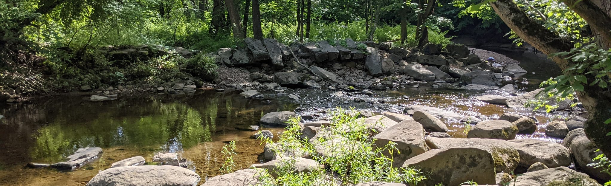 Unami Creek Park Trail 54 foto's Pennsylvania AllTrails