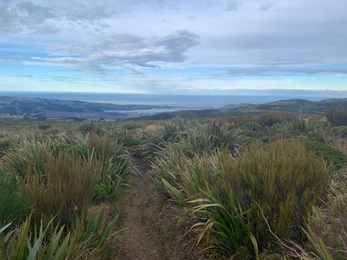 2023 Best Long Trails in Waitati | AllTrails