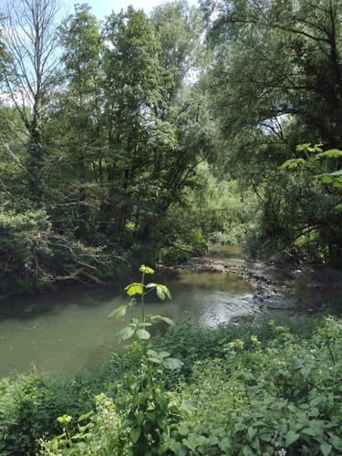 Wurmtal-Route (Herzogenrath)