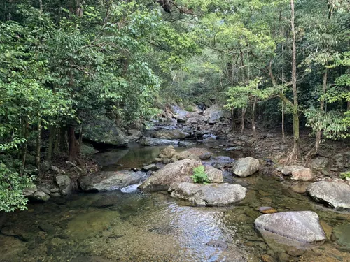 10 Best Hikes and Trails in Barron Gorge National Park | AllTrails