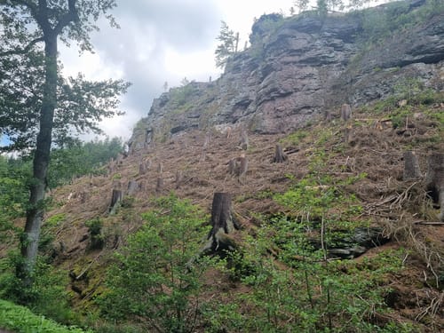 Spittergrund - Ebertswiese - Bergsee Rundweg