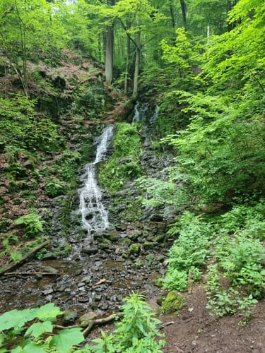 Spittergrund - Ebertswiese - Bergsee Rundweg
