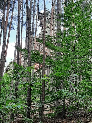 Geiersteine-Tour (Premiumwanderweg)