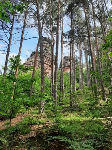 Geiersteine-Tour (Premiumwanderweg)