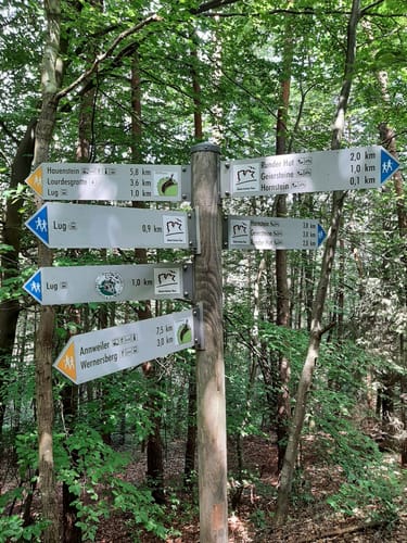 Geiersteine-Tour (Premiumwanderweg)