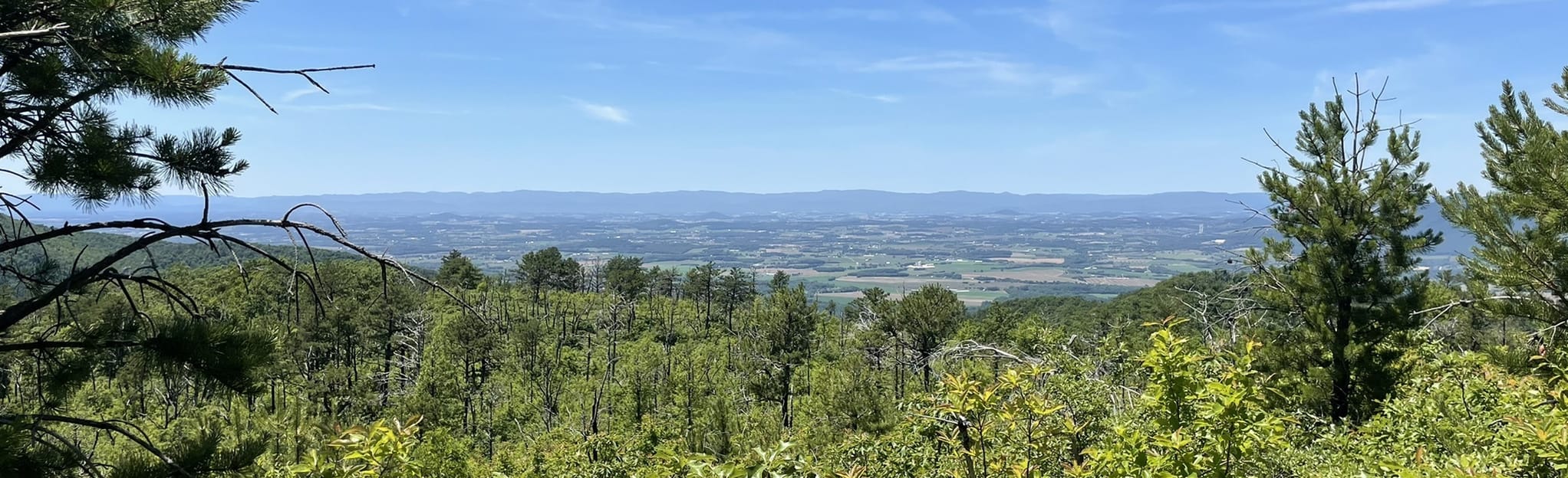 Rocky Mountain and Brown Mountain - EyJidWNrZXQiOiJhc3NldHMuYWxsdHJhaWxzLmNvbSIsImtleSI6InVwbG9hZHMvcGhvdG8vaW1hZ2UvMzc4NzkyNjQvY2M2N2Q1MWQ4MTdmYjFlYWE2NmJjMTc1MTBmNjhkNjkuanBnIiwiZWRpdHMiOnsidG9Gb3JtYXQiOiJqcGVnIiwicmVzaXplIjp7IndpZHRoIjoyMDQ0LCJoZWlnaHQiOjYyNCwiZml0IjoiY292ZXIifSwicm90YXRlIjpudWxsLCJqcGVnIjp7InRyZWxsaXNRdWFudGlzYXRpb24iOnRydWUsIm92ZXJzaG9vdERlcmluZ2luZyI6dHJ1ZSwib3B0aW1pc2VTY2FucyI6dHJ1ZSwicXVhbnRpc2F0aW9uVGFibGUiOjN9fX0=