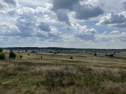 Suhorn - Wümmeberg - Tütsberg