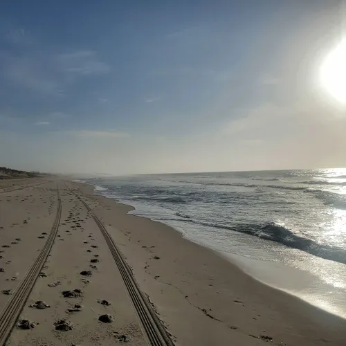 2023 Best Wild Flowers Trails in Beach Haven AllTrails