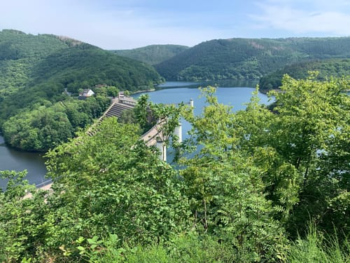 Bird Watching Runde: Von Vogelsang über die Urftseebrücke