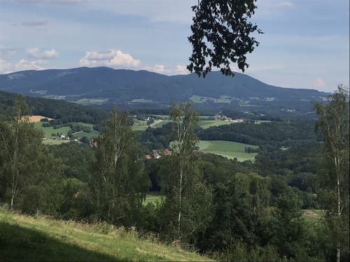 Muckenthal: Feuersalamander-Tour