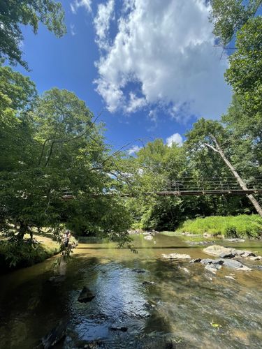 Best Hikes and Trails in Mayo River State Park | AllTrails