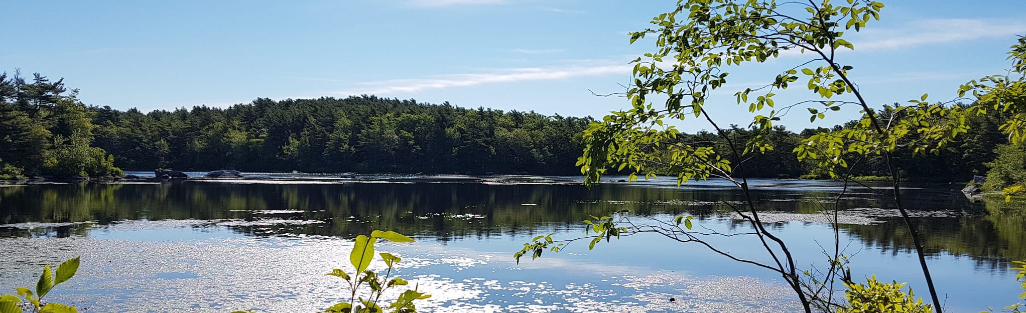 Frog Pond Nature Trail 224 Reviews, Map Nova Scotia, Canada AllTrails